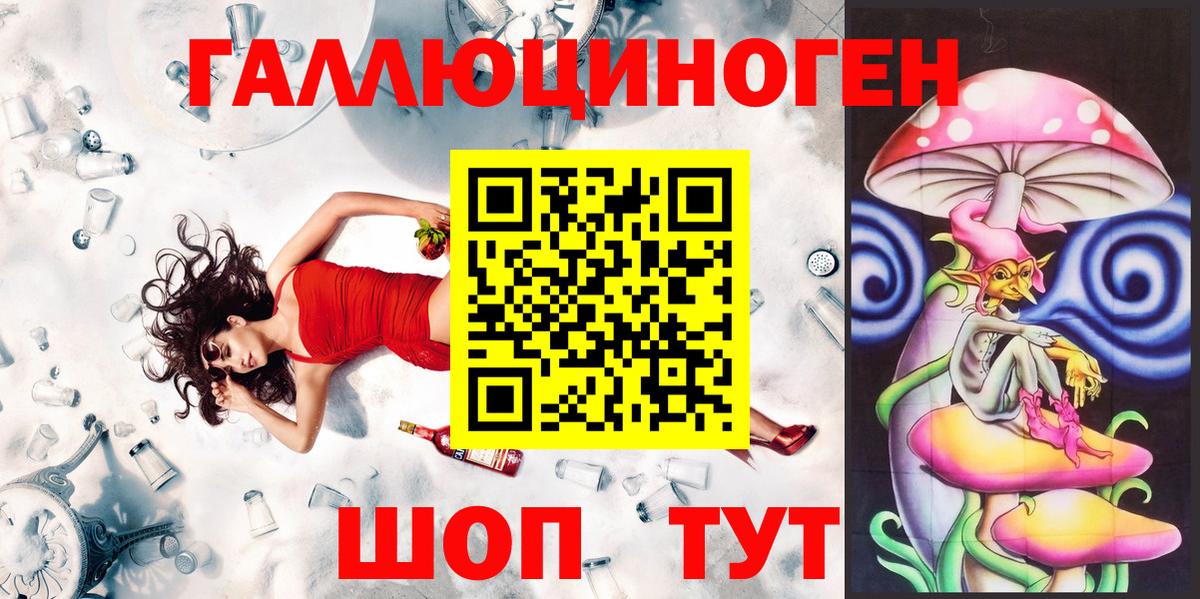 Псилоцибиновые грибы Cubensis  Вход с VPN  Вичуга 